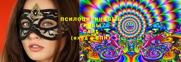 молекула духа Кулебаки