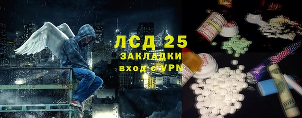 мет Ладушкин